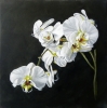 White Orchids I
